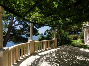 Apartments Plavac Mali- Comfort One Bedroom Apartment with Terrace and Sea View